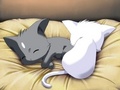 And...a...cat. :D - ouran-high-school-host-club photo