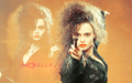 bellatrix-lestrange - Bellatrix Lestrange wallpaper