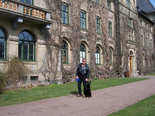 Black GSD at Castle