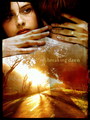 Breaking Dawn Poster - twilight-series fan art