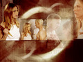 tv-couples - Buffy & Spike (Buffy) wallpaper