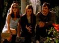 Buffy,Xander & Willow (season 1) - buffy-the-vampire-slayer photo