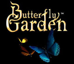  Buterfly Garden