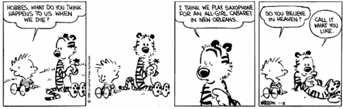  Calvin on the Afterlife