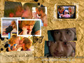 lost - Charlie & Claire wallpaper