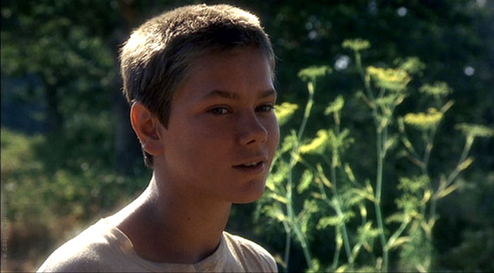 Stand by me film)   tv tropes