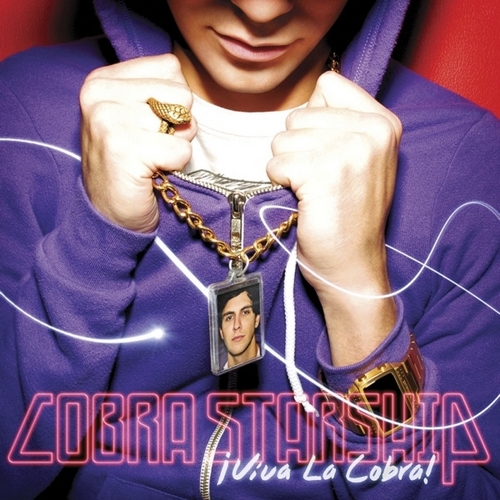 Cobra Album Cover