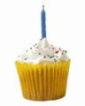 Cupcake - cupcakes photo