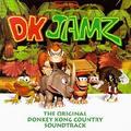 Dokey Kong Country - donkey-kong photo
