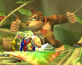Donkey Kong Special Moves - super-smash-bros-brawl photo