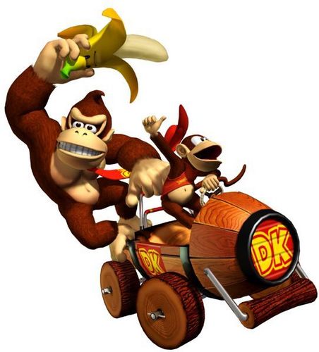  Donkey Kong and Diddy Kong