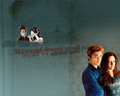 Edward & Bella - twilight-series wallpaper