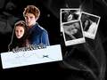 twilight-series - Edward & Bella wallpaper