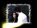 twilight-series - Edward and Bella wallpaper