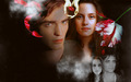 Edward and Bella - twilight-series wallpaper