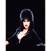 Elvira - horror-movies icon