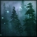 Enchanted Forest - fairy-tales-and-fables icon
