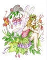 Fairy - fairies photo