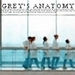GA - greys-anatomy icon