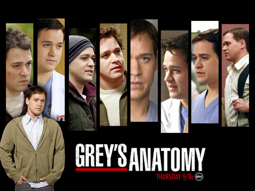  Grey's Anatomy Cast