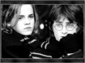 HGM's Images - hermione-grangers-men fan art