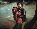 Harry Hermione - hermione-grangers-men fan art