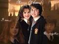 Harry Hermione - hermione-grangers-men fan art