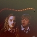Harry Potter  - harry-potter icon