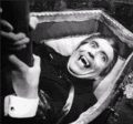 Horror Of Dracula - vampires photo