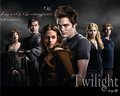 twilight-series - I'm with the vampires wallpaper