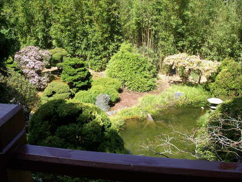  Japanese чай Garden