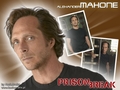 Mahone - prison-break photo