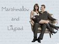 Marshmallow & Lilypad - how-i-met-your-mother wallpaper