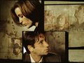 tv-couples - Mulder & Scully (X-Files) wallpaper