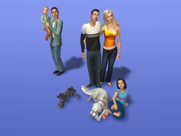 The Perfect Sims Family