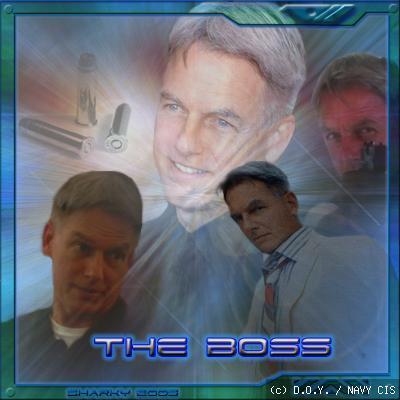  NCIS: the boss