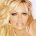 Pamela Anderson - pamela-anderson icon
