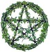Pentacle Wreath - witchcraft icon