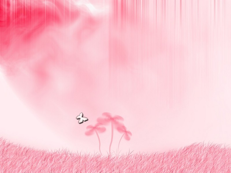 color wallpaper. Pink Wallpaper - Pink (Color)