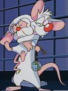 Pinky-and-The-Brain-pinky-and-the-brain-