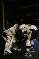 Pittsburgh Penguins - pittsburgh-penguins photo