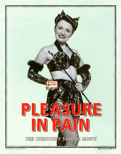  Pleasure in Pain