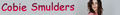 Possible Cobie Banner? - cobie-smulders fan art