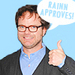 Rainn Wilson - the-office icon