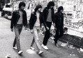 Ramones - the-ramones photo
