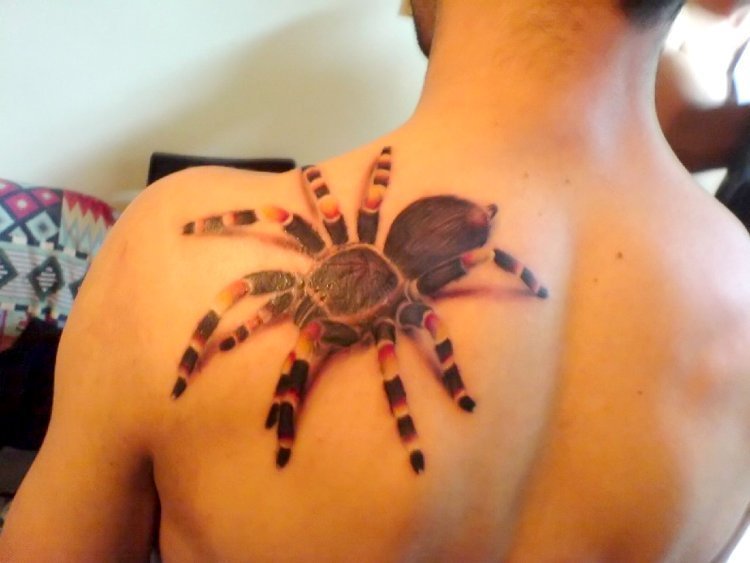 3 d spider tattoos for guys