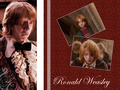 ronald-weasley - Ron Weasley wallpaper