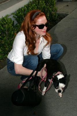 Rose takes her dog to her hairdresser in Beverly Hills.
