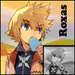 Roxas - kingdom-hearts icon