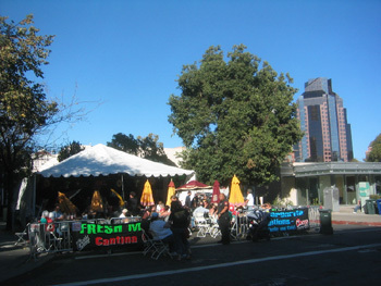 Sacramento Art & Wine Festival '04